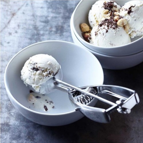 Pedrini Ice Cream Scooper Mechanical Kitchen