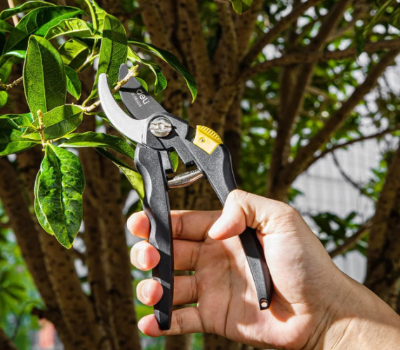 Deli Gardening Shears 3pcs Set Tools