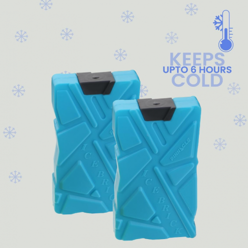 Pinnacle Ice Pack Bricks 2pcs