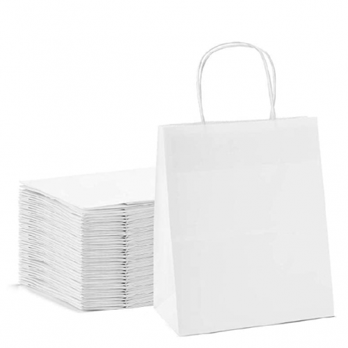 White Disposables Twisted Handle Paper Bags Large 25pcs Pack